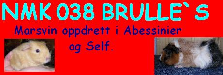 brulles.jpg