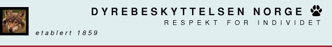 logo_dn_heading.jpg